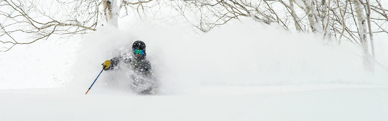 Puderåkning i gles skog