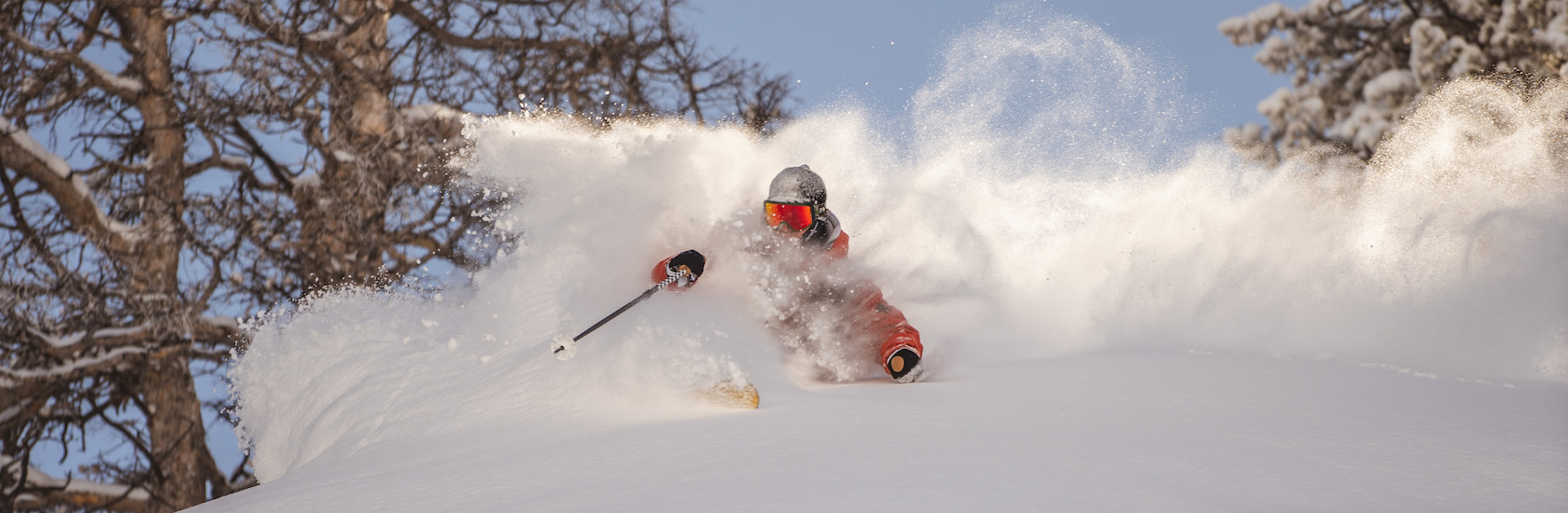 6 skiddagar med guide